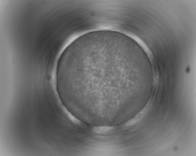 X0000102401294200808151935