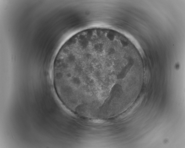 X0000102401295200808151935