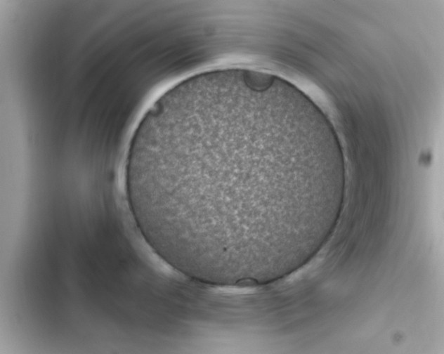 X0000102401296200808151935