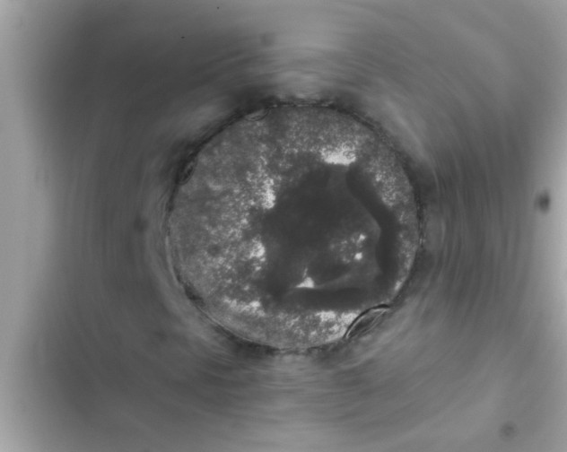 X0000102401297200808151934