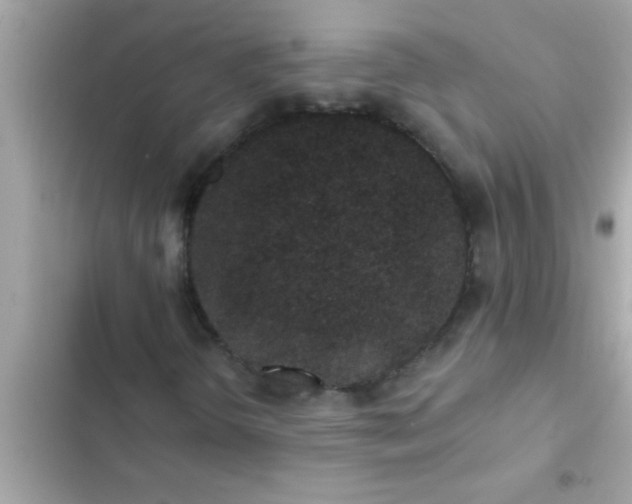 X0000102401298200808151934