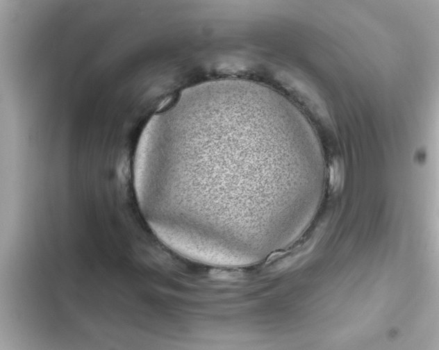 X0000102401299200808151934