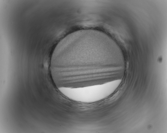 X0000102401300200808151934