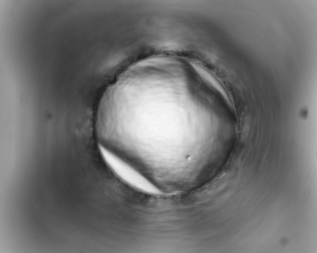 X0000102401301200808151934