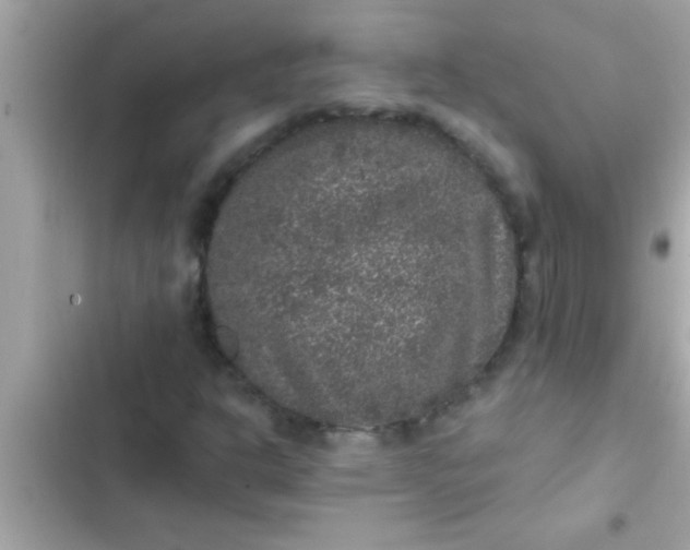 X0000102401302200808151934