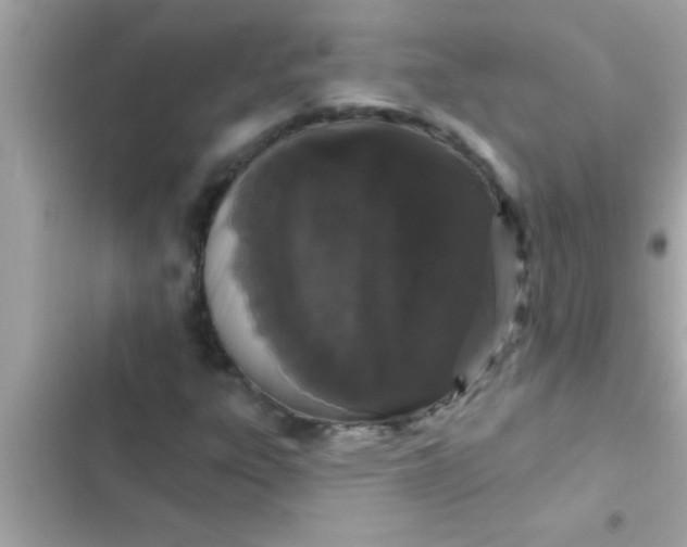 X0000102401303200808151934