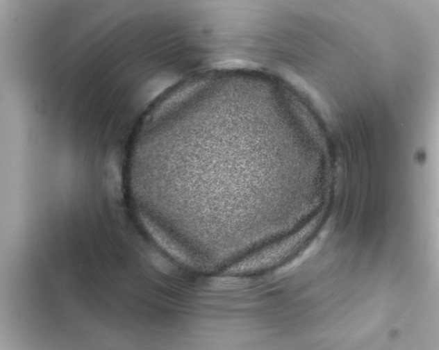 X0000102401305200808151934