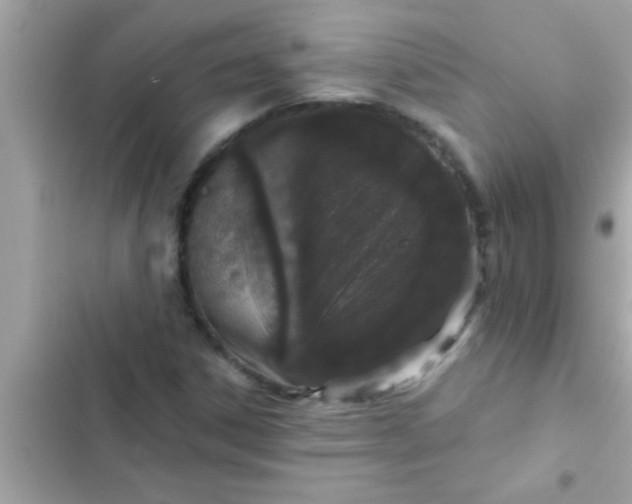 X0000102401306200808151934