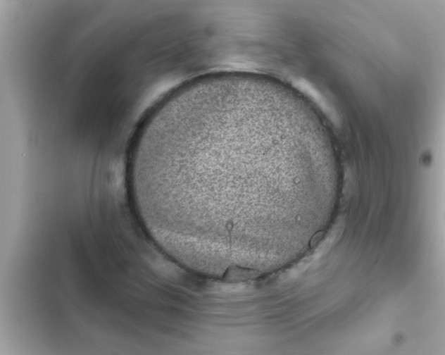 X0000102401307200808151934