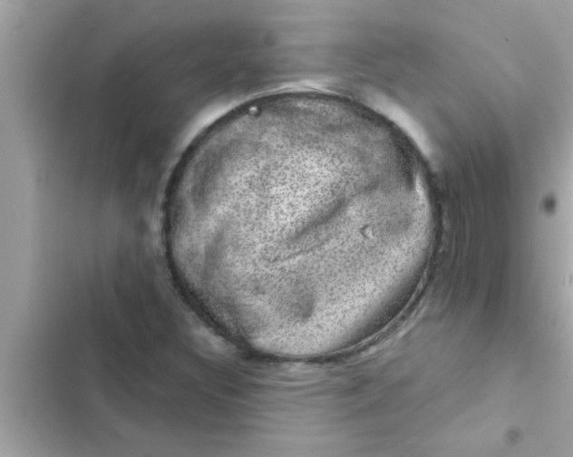 X0000102401308200808151934