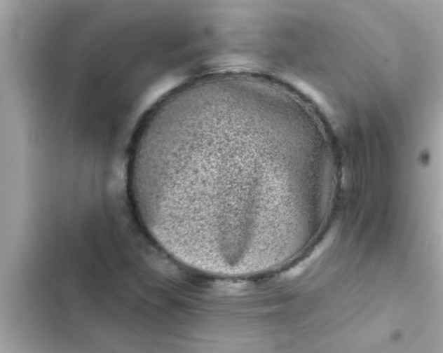 X0000102401309200808151934