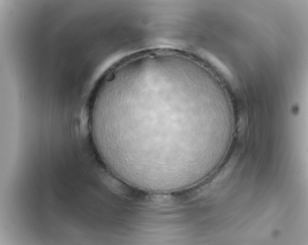 X0000102401310200808151934