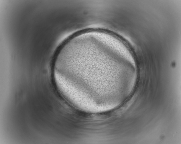 X0000102401311200808151934