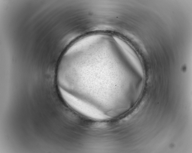 X0000102401313200808151934