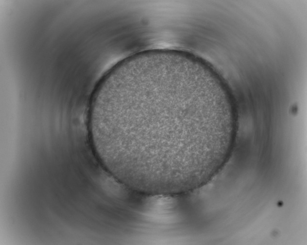 X0000102401314200808151934