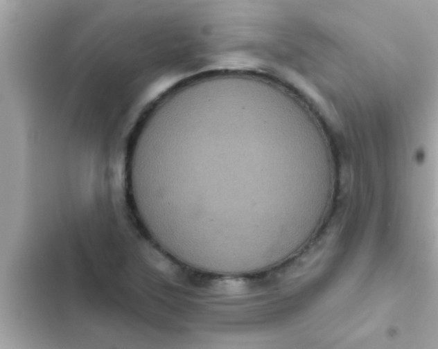 X0000102401315200808151934