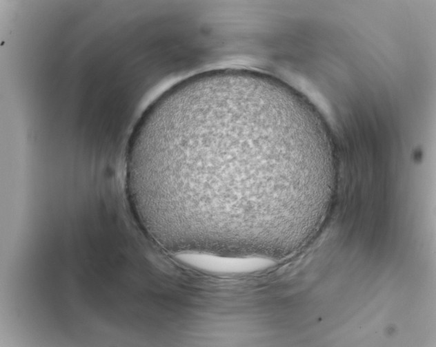 X0000102401316200808151934