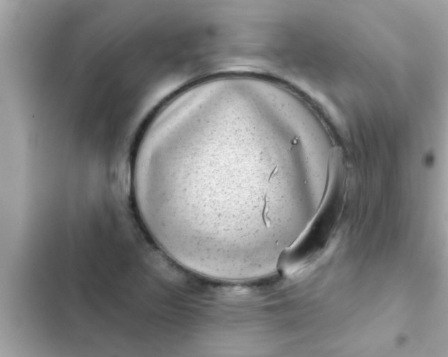 X0000102401317200808151934