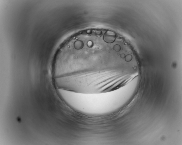 X0000102401318200808151934