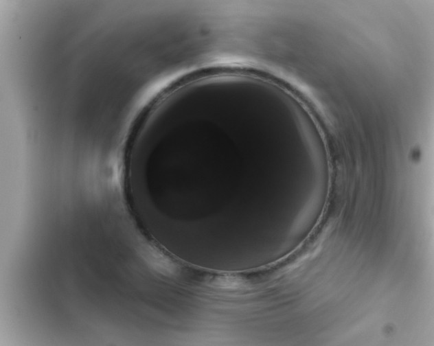 X0000102401319200808151934