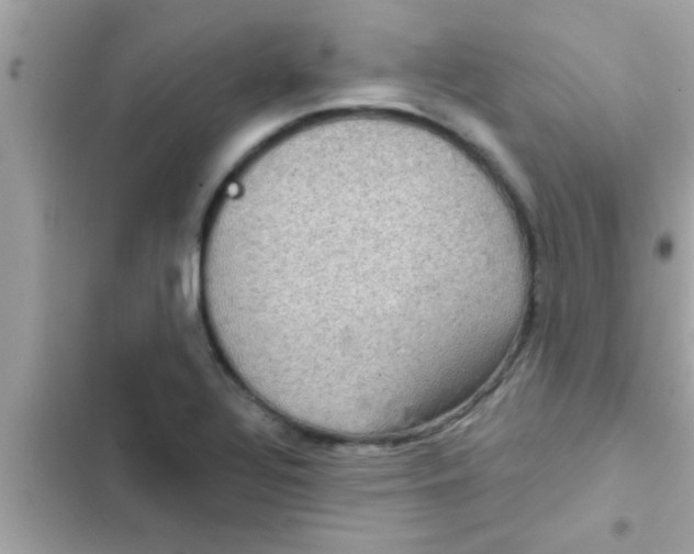 X0000102401320200808151934