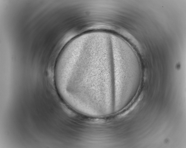 X0000102401321200808151934