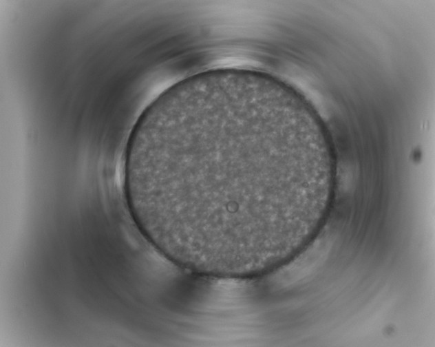 X0000102401322200808151934