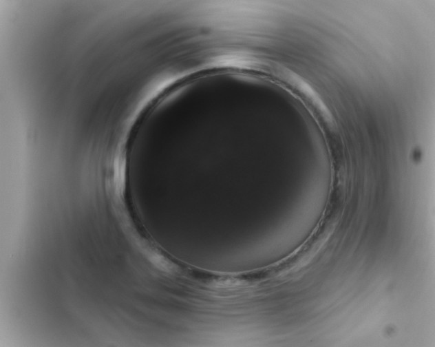 X0000102401323200808151934