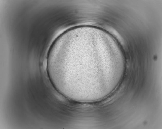 X0000102401324200808151934