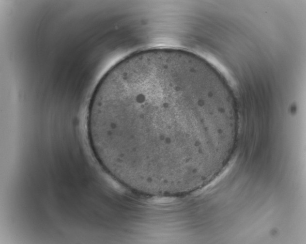 X0000102401325200808151934