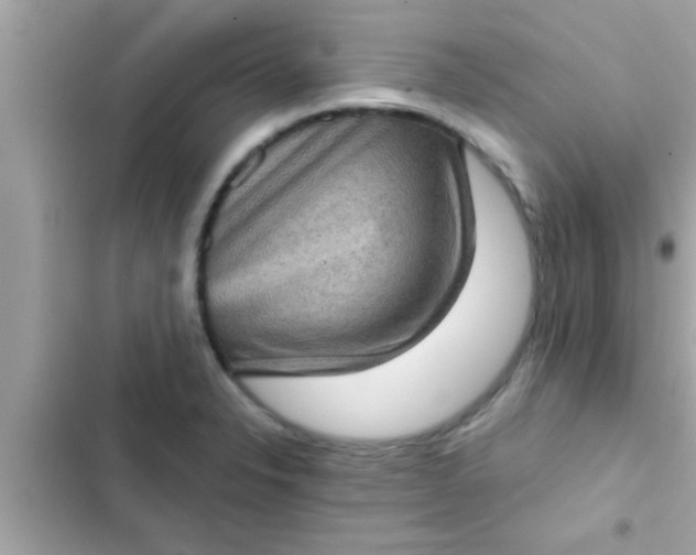 X0000102401326200808151934