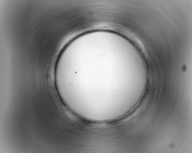 X0000102401328200808151934