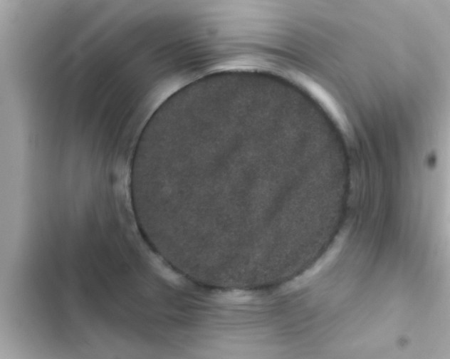 X0000102401329200808151934