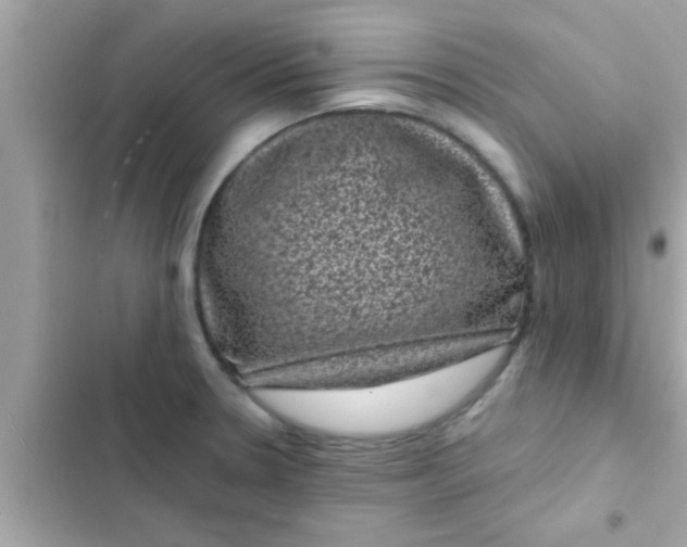 X0000102401330200808151934