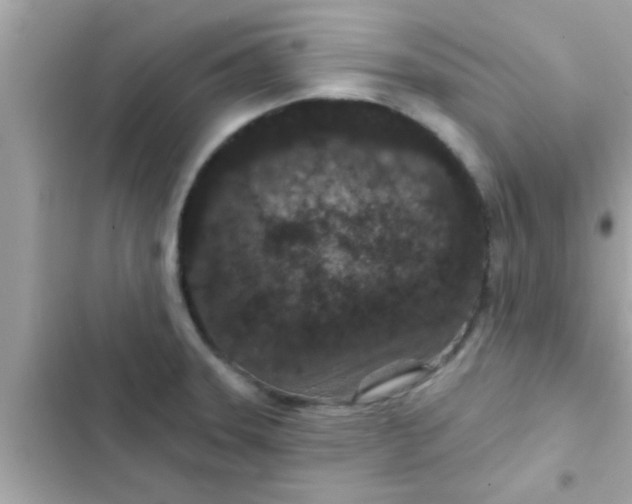 X0000102401331200808151934