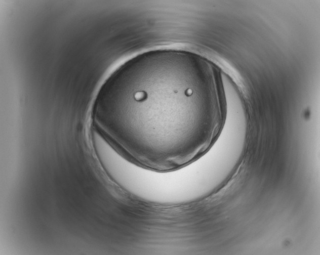 X0000102401332200808151934