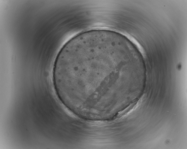 X0000102401333200808151934