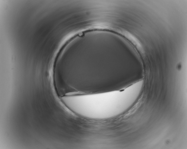 X0000102401334200808151934