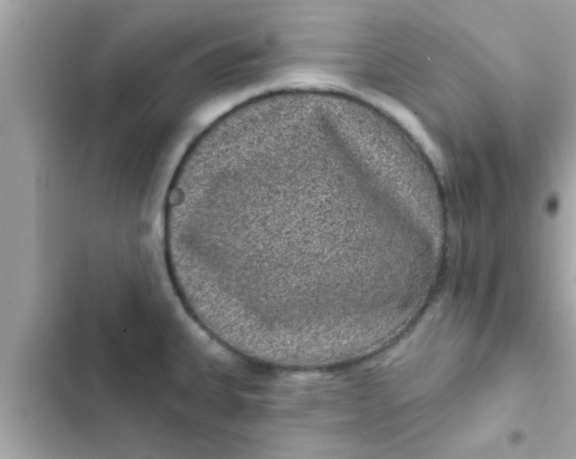 X0000102401335200808151934