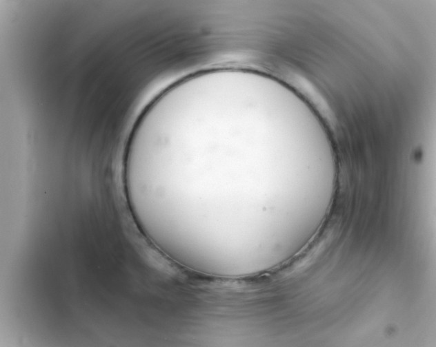 X0000102401336200808151934