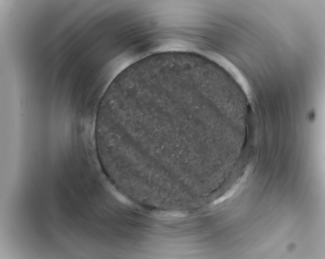 X0000102401337200808151935