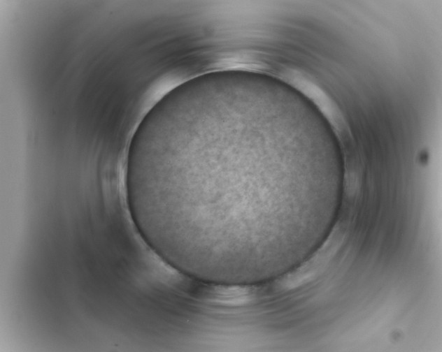 X0000102401338200808151935