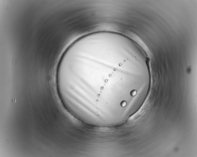 X0000102401339200808151935