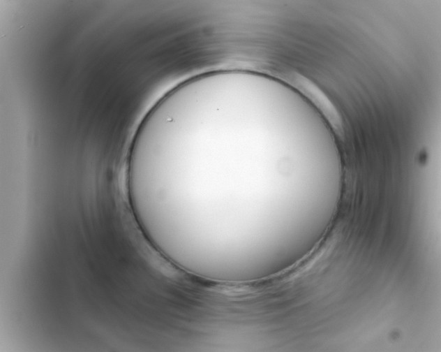 X0000102401340200808151935