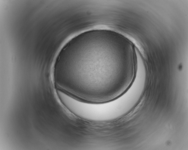 X0000102401342200808151935