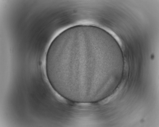 X0000102401343200808151935