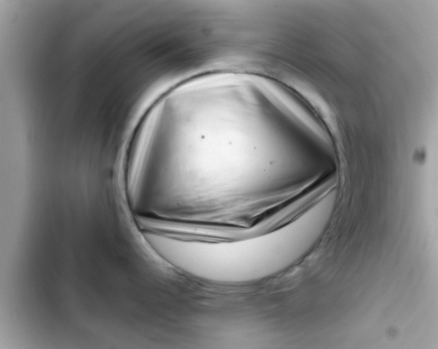 X0000102401344200808151935