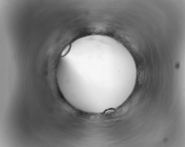 X0000102401345200808151934