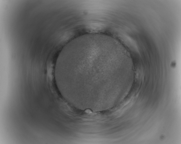 X0000102401346200808151934