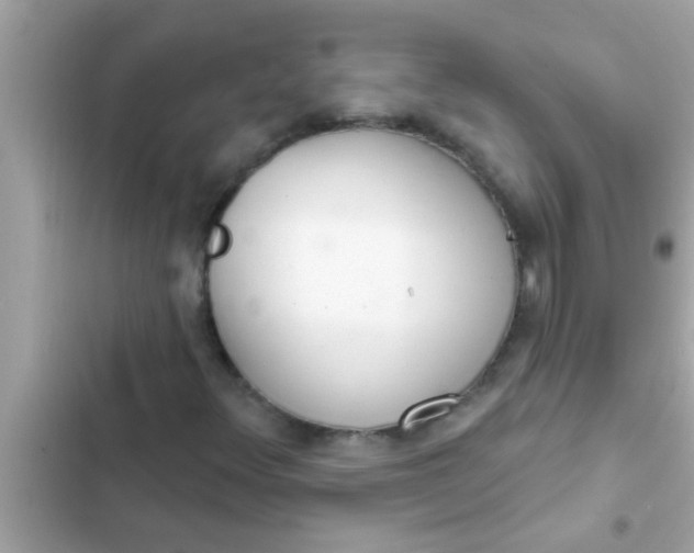 X0000102401348200808151934